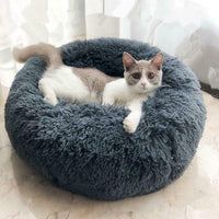Coussin Moumoute Chat