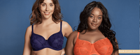 Comment choisir le soutien-gorge parfait ?