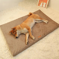 Tapis Moelleux Chien